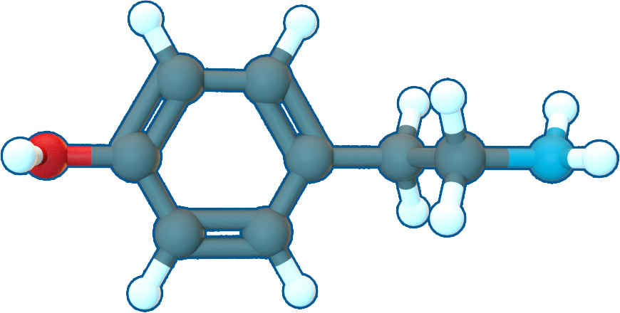 Image of Tyramine | C8H11NO | Supreme Pharmatech